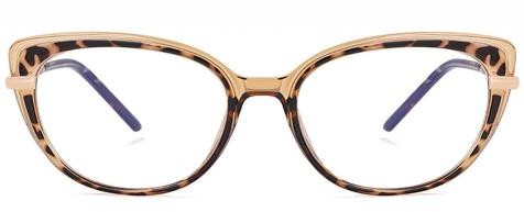 Frame